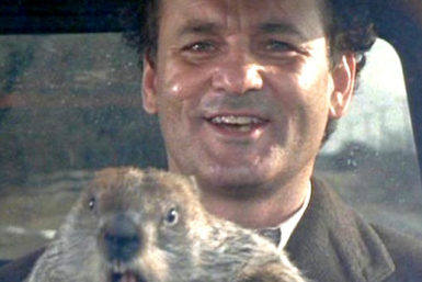 Groundhog Day (1993), Harold Ramis